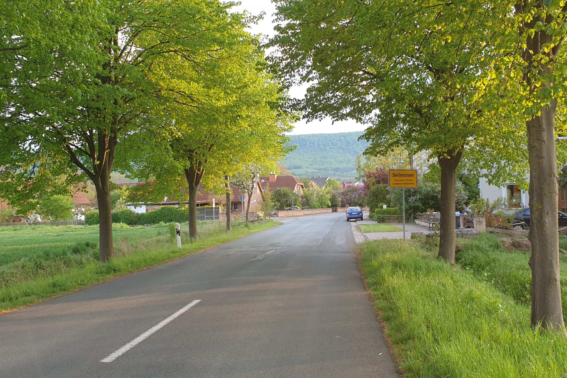 Deilmissen