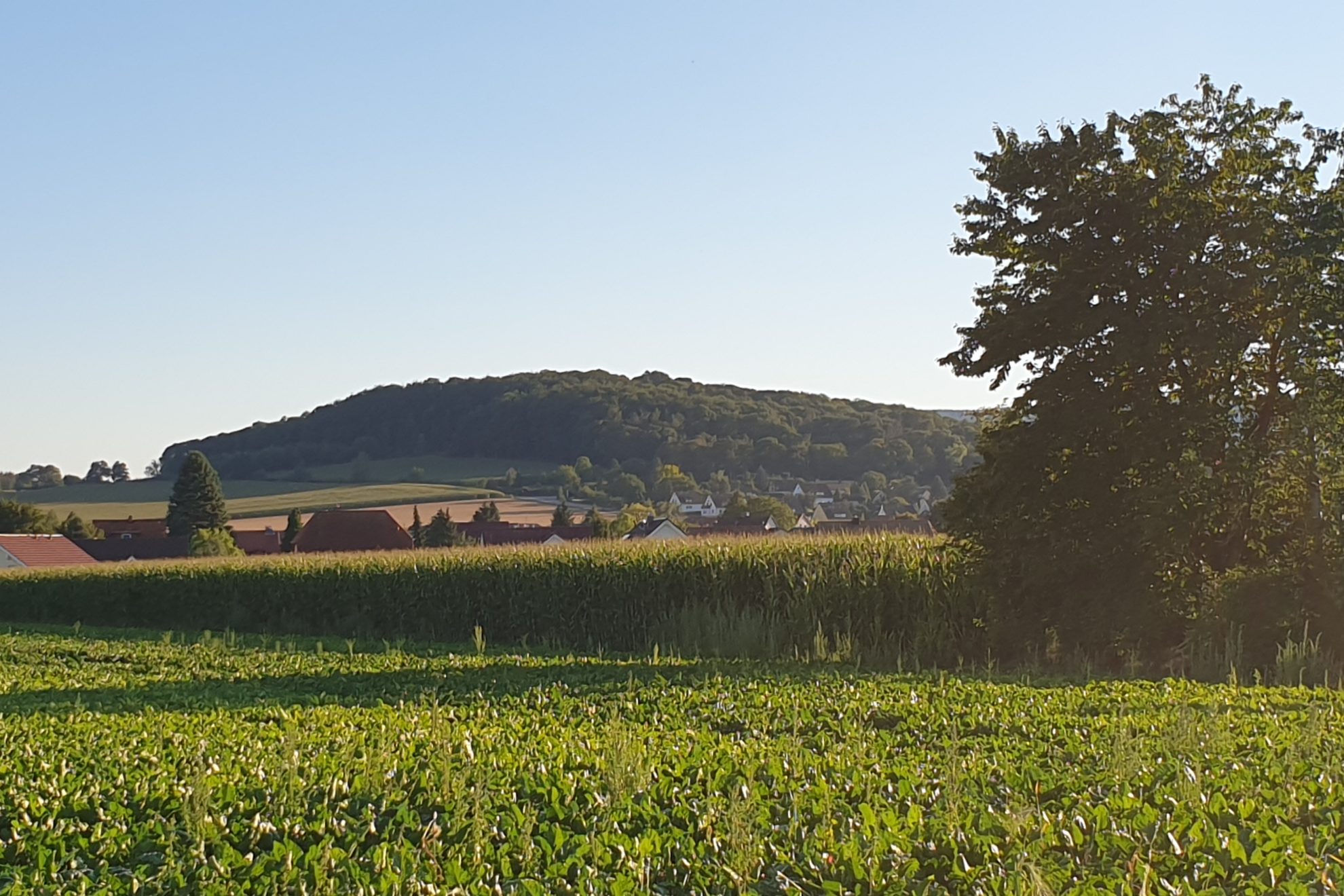 Draufsicht Külf
