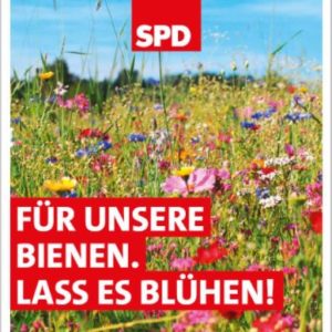 Wahlflyer Juni 21-3